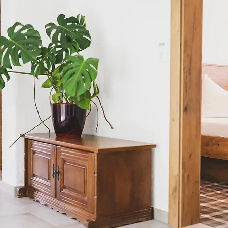 New! Carina By We Rent